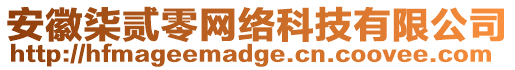 安徽柒貳零網絡科技有限公司