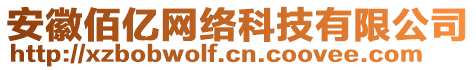 安徽佰億網(wǎng)絡(luò)科技有限公司