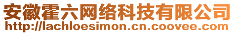 安徽霍六網絡科技有限公司