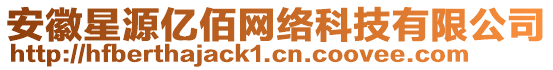安徽星源億佰網絡科技有限公司