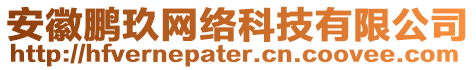 安徽鵬玖網絡科技有限公司