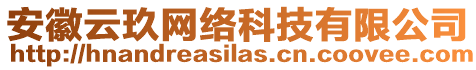 安徽云玖網(wǎng)絡(luò)科技有限公司