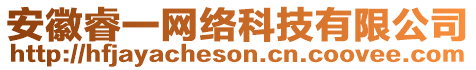 安徽睿一網(wǎng)絡(luò)科技有限公司