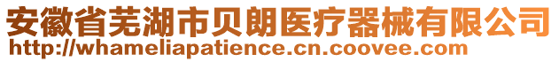 安徽省蕪湖市貝朗醫療器械有限公司