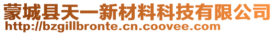 蒙城縣天一新材料科技有限公司