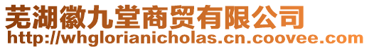 蕪湖徽九堂商貿有限公司
