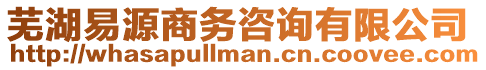 蕪湖易源商務(wù)咨詢有限公司