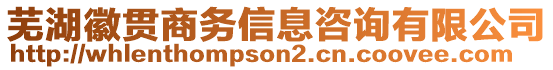 蕪湖徽貫商務(wù)信息咨詢有限公司