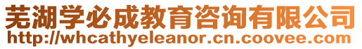 蕪湖學必成教育咨詢有限公司