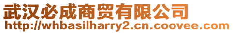 武漢必成商貿有限公司