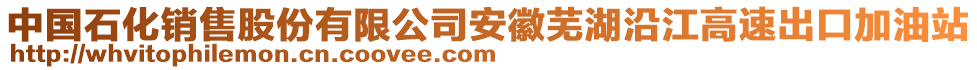 中國石化銷售股份有限公司安徽蕪湖沿江高速出口加油站