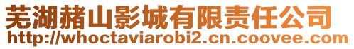 蕪湖赭山影城有限責任公司