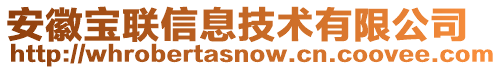 安徽寶聯信息技術有限公司