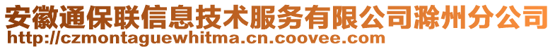 安徽通保聯信息技術服務有限公司滁州分公司