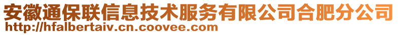 安徽通保聯(lián)信息技術服務有限公司合肥分公司