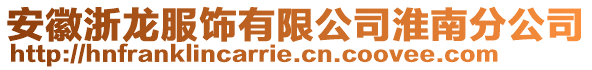 安徽浙龍服飾有限公司淮南分公司