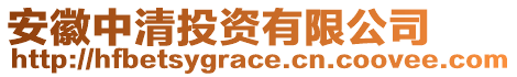 安徽中清投資有限公司