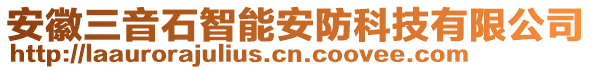 安徽三音石智能安防科技有限公司