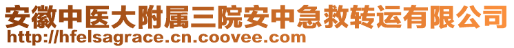 安徽中醫(yī)大附屬三院安中急救轉(zhuǎn)運(yùn)有限公司