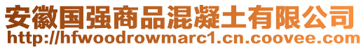 安徽國強(qiáng)商品混凝土有限公司