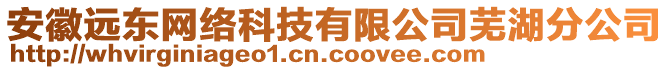 安徽遠東網(wǎng)絡科技有限公司蕪湖分公司