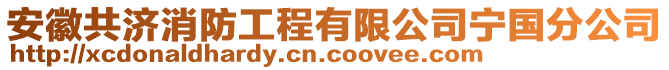 安徽共濟(jì)消防工程有限公司寧國分公司