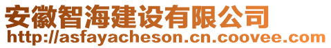 安徽智海建設(shè)有限公司