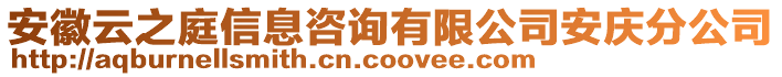 安徽云之庭信息咨詢(xún)有限公司安慶分公司