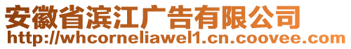 安徽省濱江廣告有限公司