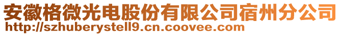 安徽格微光電股份有限公司宿州分公司