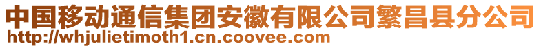 中國(guó)移動(dòng)通信集團(tuán)安徽有限公司繁昌縣分公司