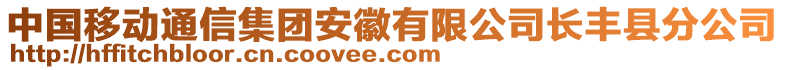 中国移动通信集团安徽有限公司长丰县分公司