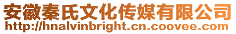 安徽秦氏文化傳媒有限公司