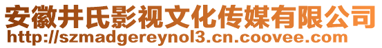 安徽井氏影视文化传媒有限公司