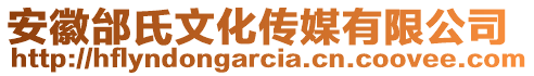 安徽邰氏文化傳媒有限公司