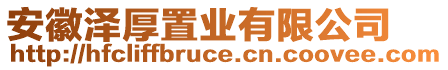 安徽泽厚置业有限公司