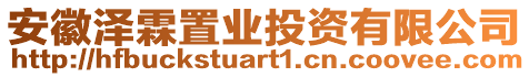 安徽澤霖置業(yè)投資有限公司