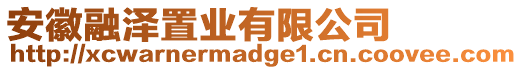 安徽融澤置業(yè)有限公司