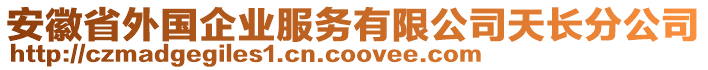 安徽省外國企業(yè)服務有限公司天長分公司