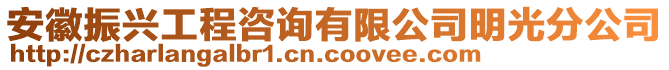 安徽振興工程咨詢有限公司明光分公司