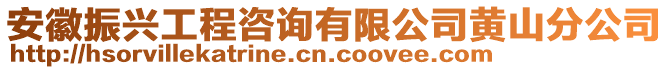 安徽振興工程咨詢有限公司黃山分公司