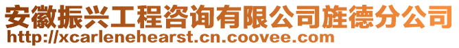 安徽振興工程咨詢有限公司旌德分公司