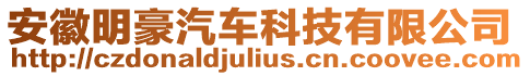 安徽明豪汽車科技有限公司
