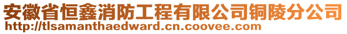 安徽省恒鑫消防工程有限公司銅陵分公司