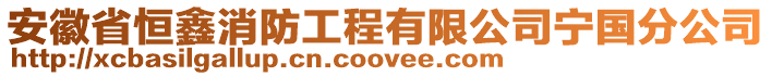 安徽省恒鑫消防工程有限公司寧國(guó)分公司