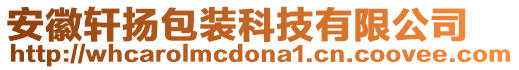 安徽軒揚(yáng)包裝科技有限公司