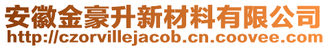 安徽金豪升新材料有限公司