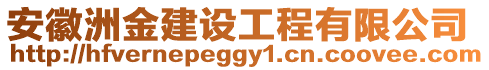 安徽洲金建設(shè)工程有限公司