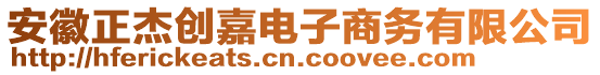 安徽正杰創(chuàng)嘉電子商務(wù)有限公司