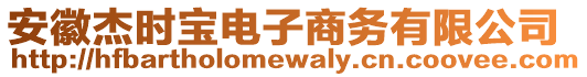 安徽杰時寶電子商務有限公司